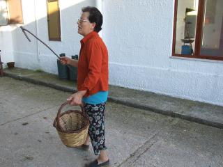 Immagine allegata alla scheda. Per averne una descrizione leggere i dettagli più in basso.